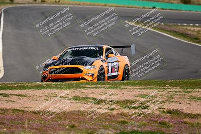 media/Feb-25-2024-Speed Ventures (Sun) [[b9a2a97a4d]]/Mustang Drivers Club/Session 3 (Turn 2)/